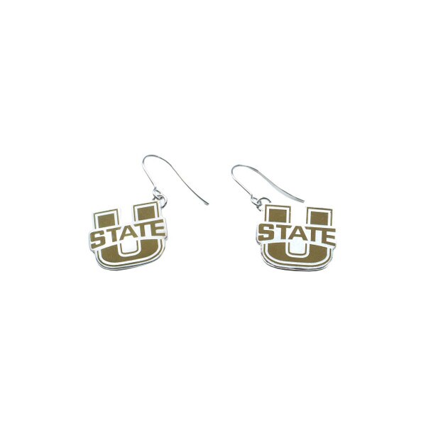 U-State Dangle Earrings Two Tone Silver and Gold